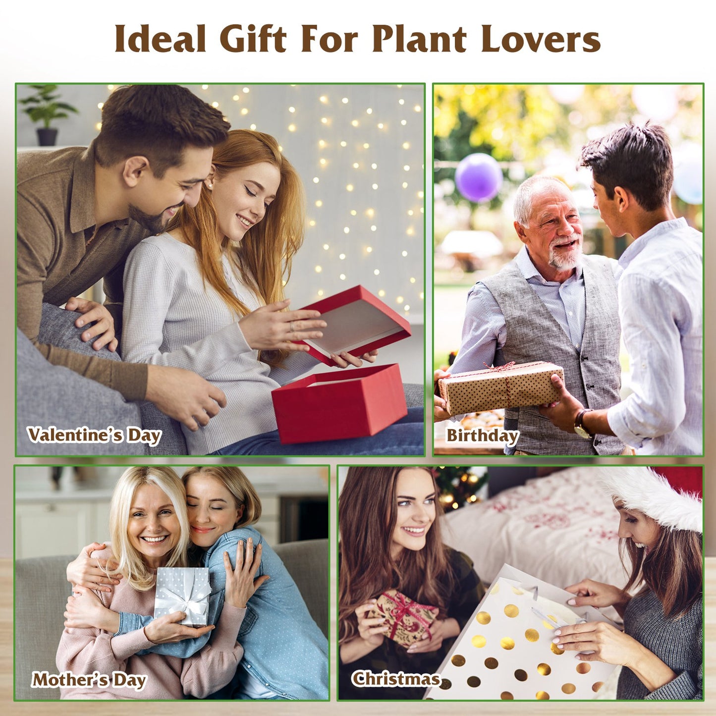 1Pc Plant Terrarium Propagation Station With 3 Heart Shaped Vases Wooden Stand Desktop Air Planter Bulb Glass Vase For Hydroponics Home Office Decor Gift For Plant Lovers