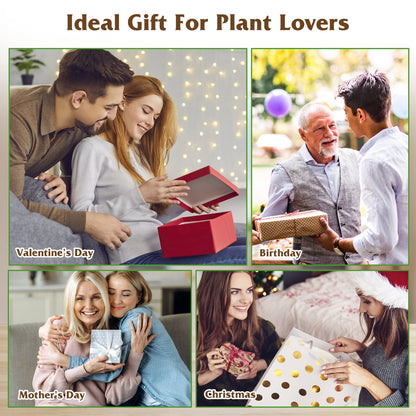 1Pc Plant Terrarium Propagation Station With 3 Heart Shaped Vases Wooden Stand Desktop Air Planter Bulb Glass Vase For Hydroponics Home Office Decor Gift For Plant Lovers